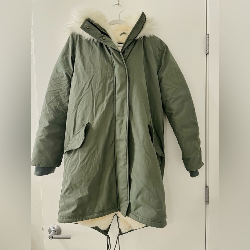 Aritzia Wilfred Mont Blanc Parka (US S)
